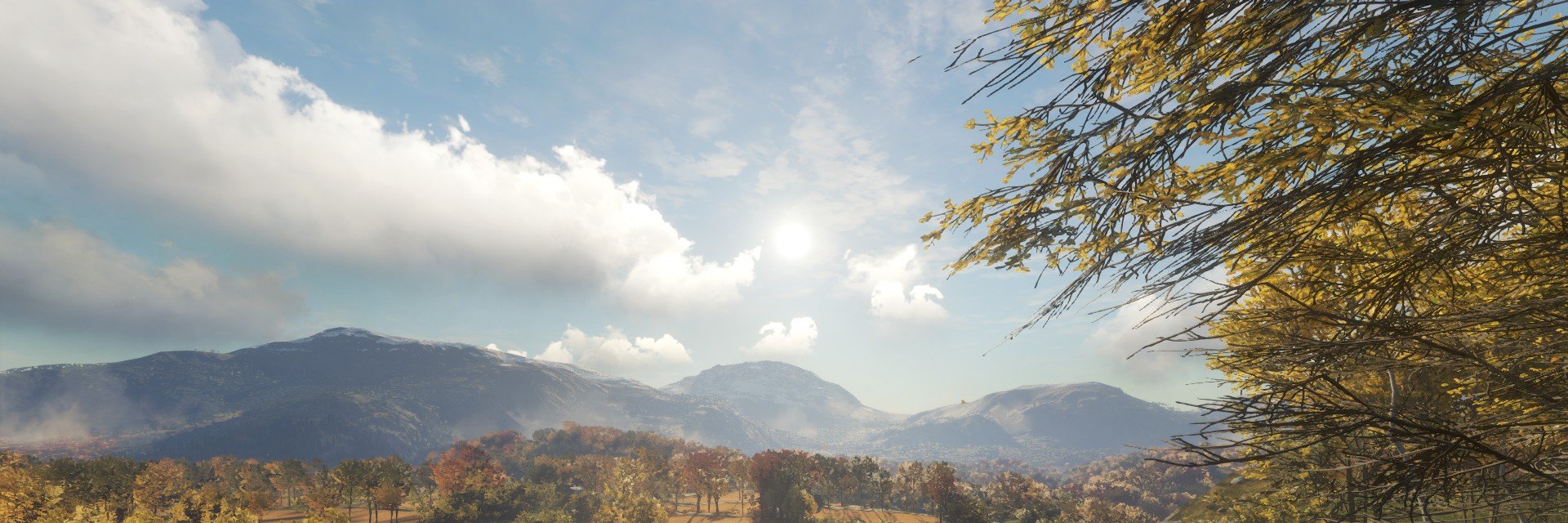 Trucido_'s profile banner image