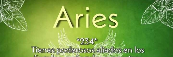 AngelitosNorma's profile banner image