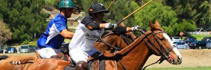 matiasdoorn's profile banner image