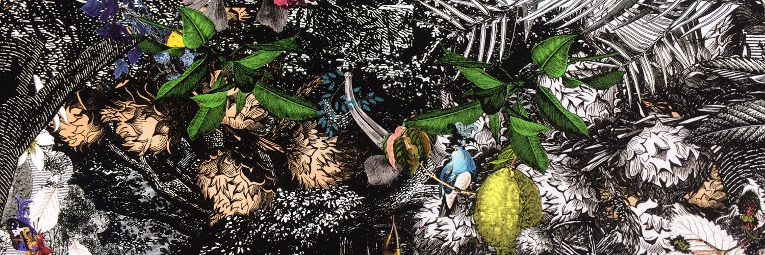 mjmorar's profile banner image