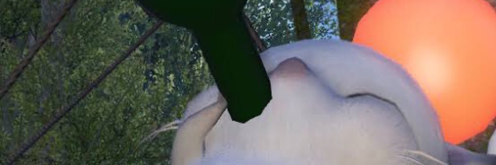 tortieee's profile banner image