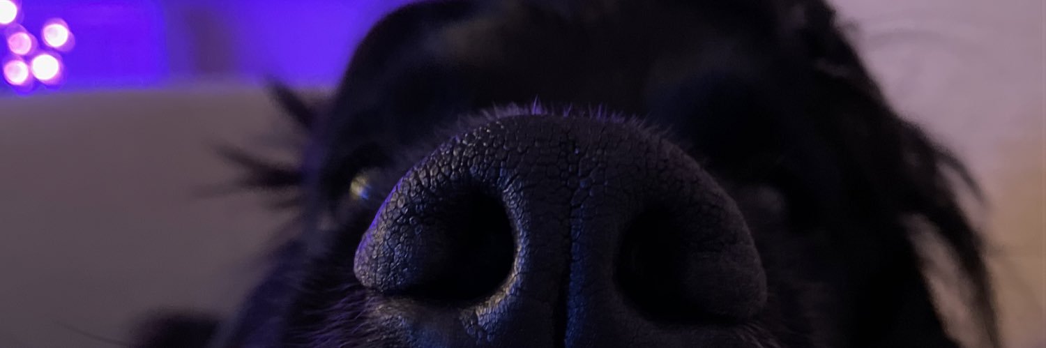 mrsjhooker's profile banner image