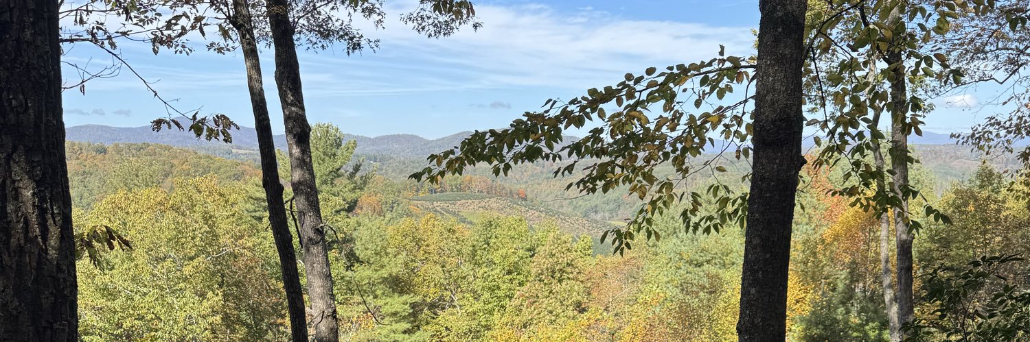 JReich31's profile banner image