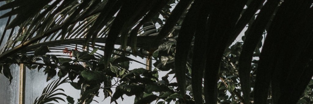 andrcompion's profile banner image