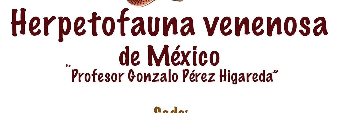malopezluna's profile banner image