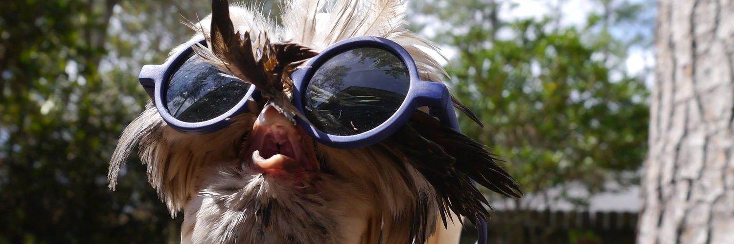 CGruffthunder's profile banner image