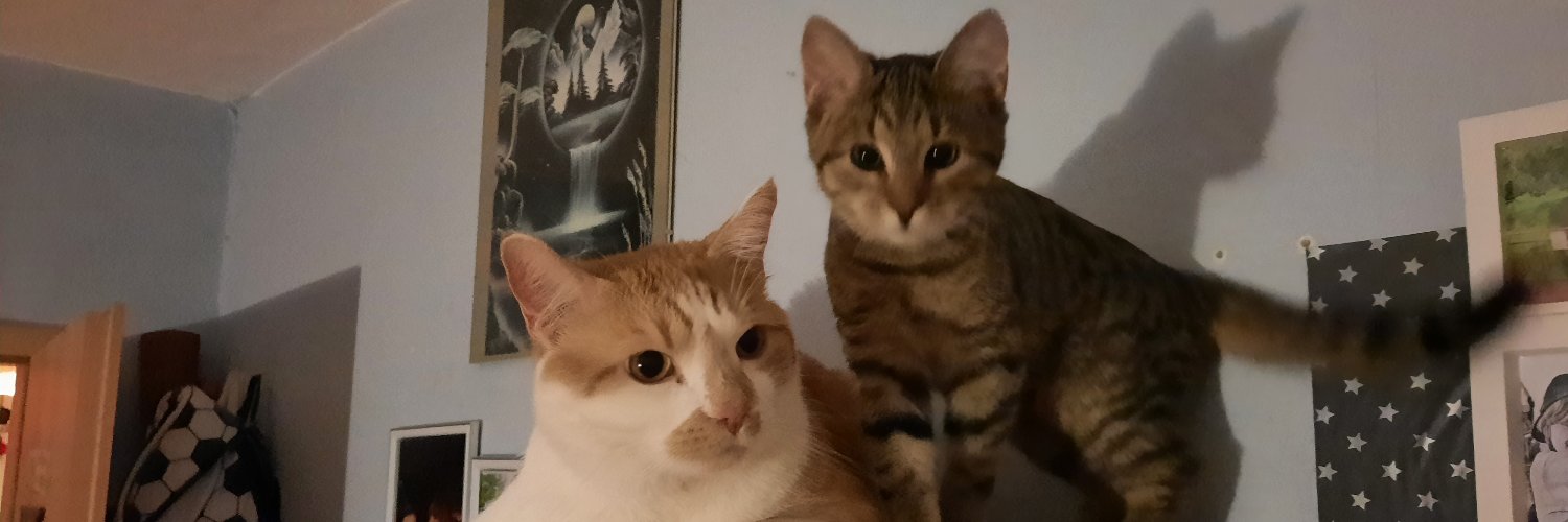 KatzenMama87's profile banner image