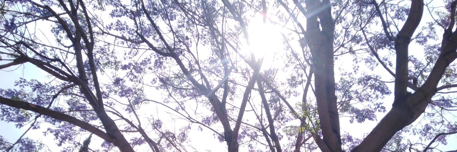 MMarianitapoli's profile banner image