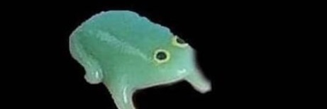 _lil_elvis_'s profile banner image