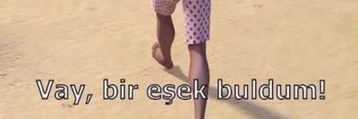 buse banner