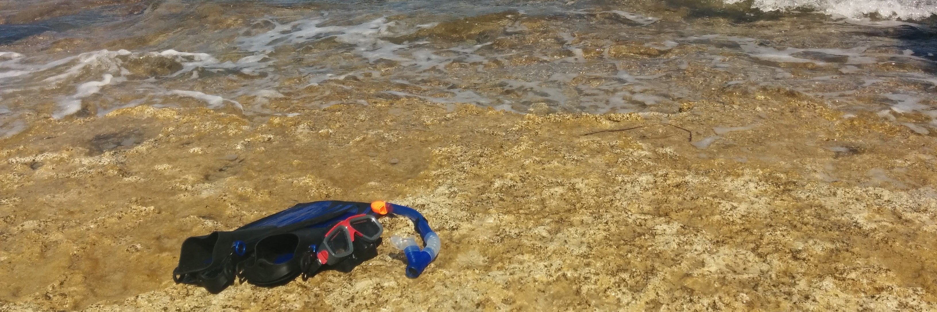 jc_diver's profile banner image