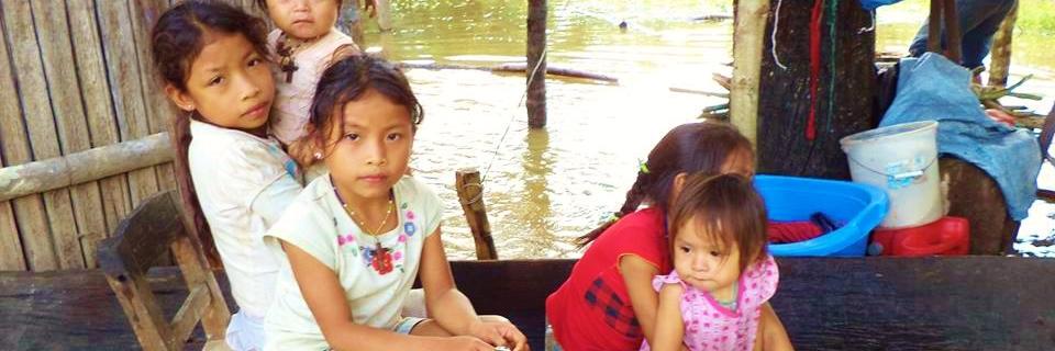 AmazonSos's profile banner image