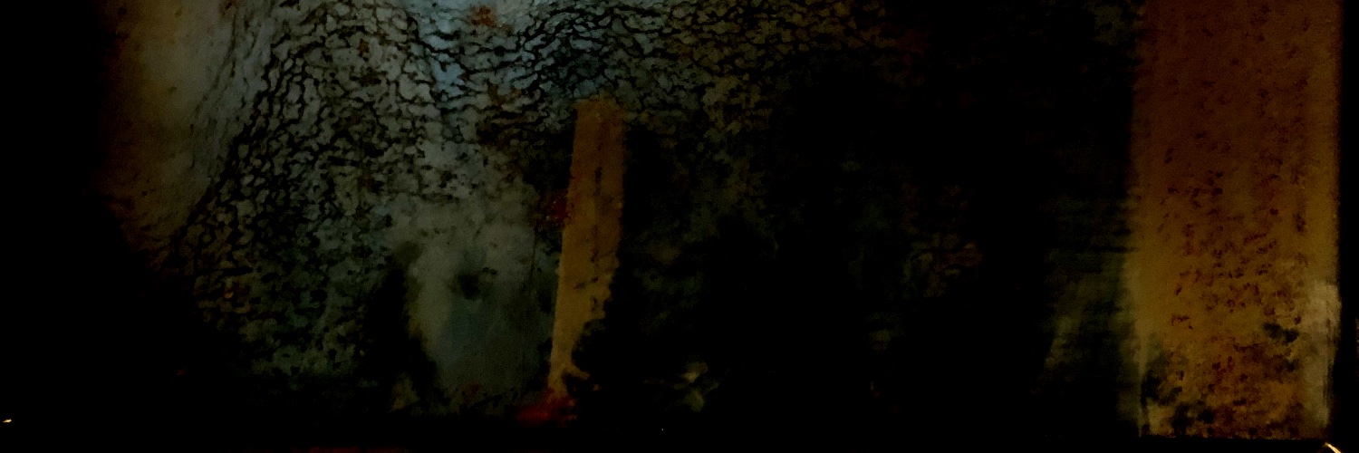 HectorAntunez's profile banner image