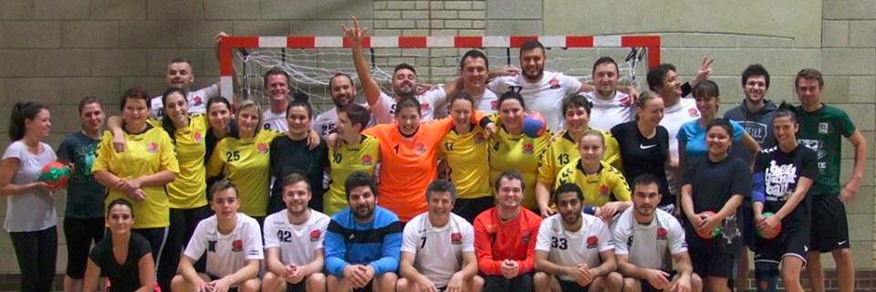 Reading Lions HC banner