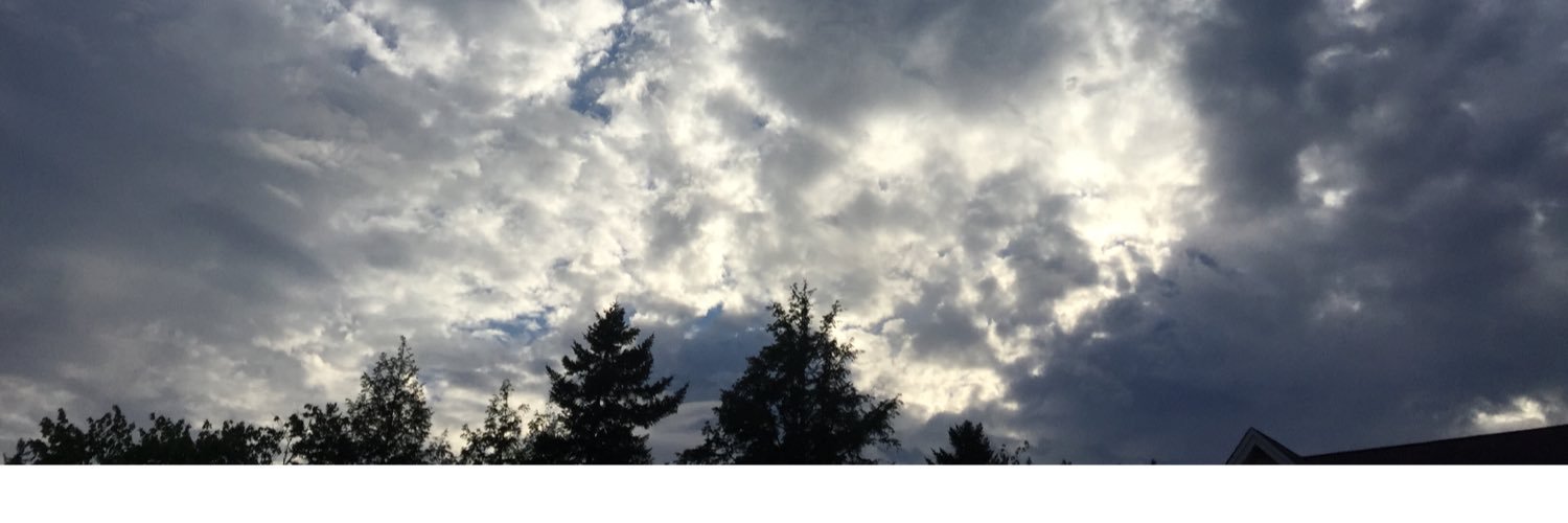 slvaters's profile banner image
