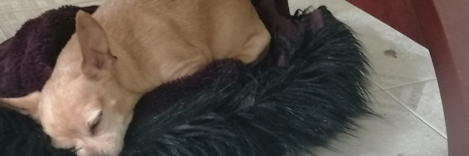 Natazha2607's profile banner image