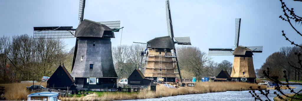 Noordhollands Dagblad banner