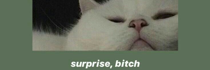 felipeuve's profile banner image