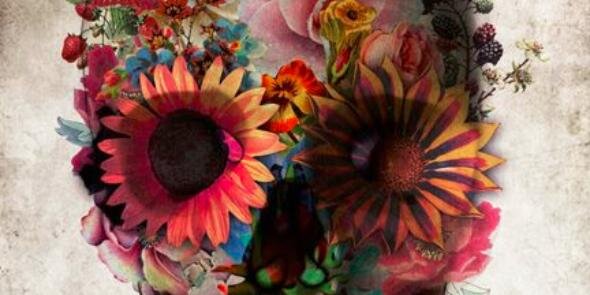 xAlphaBitch's profile banner image