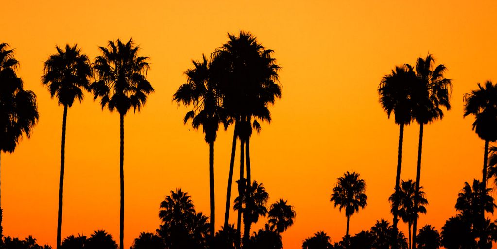 surfingexplorer's profile banner image