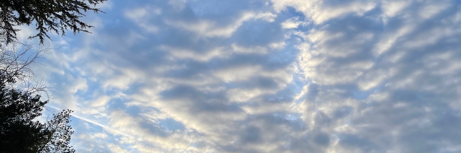 Weather Extremes - Georgina Endfield banner