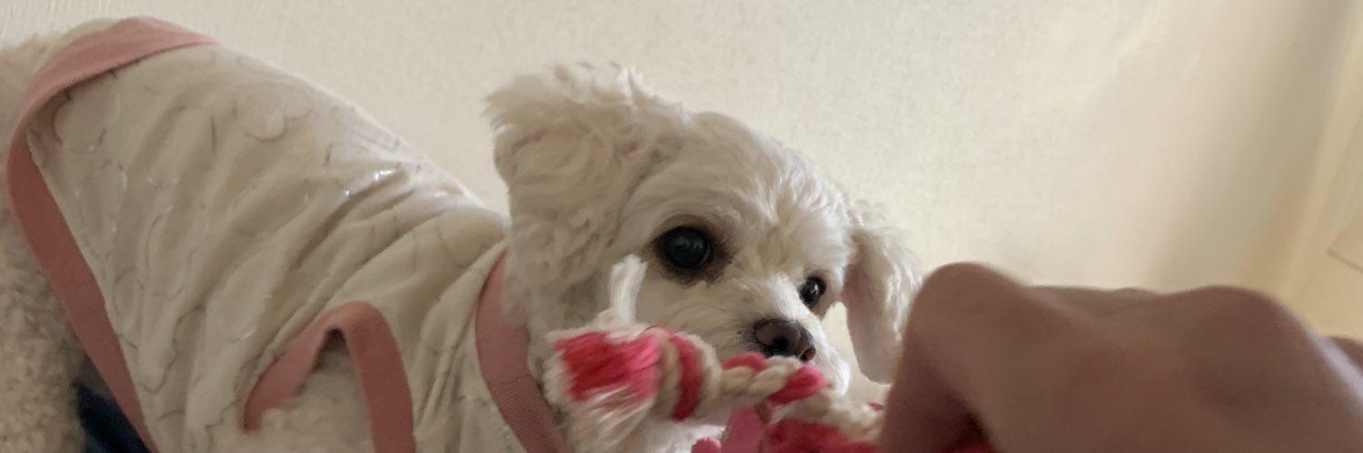 じゅん　BK banner