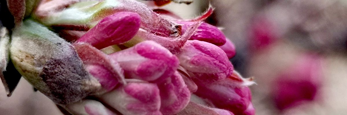 MicheleHeger's profile banner image