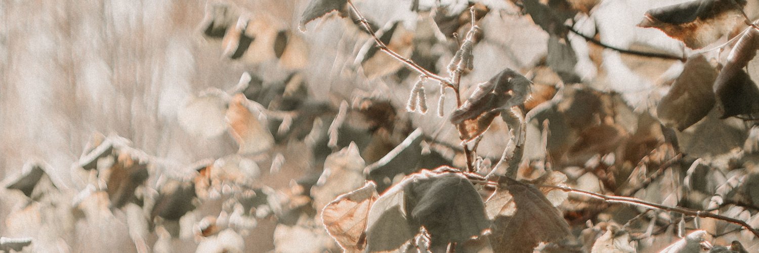 Swiftaxe's profile banner image