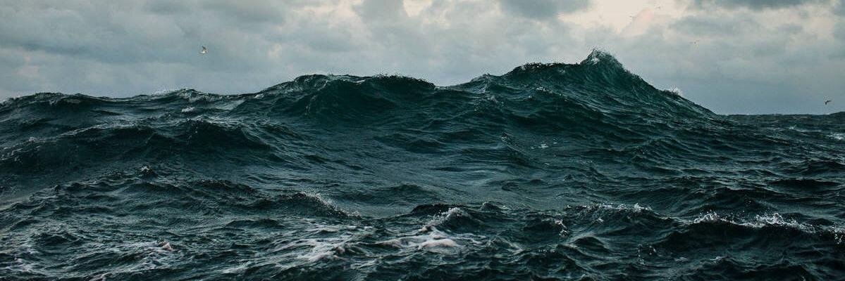 Alex__Senkevich's profile banner image