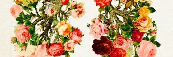 marcerva's profile banner image