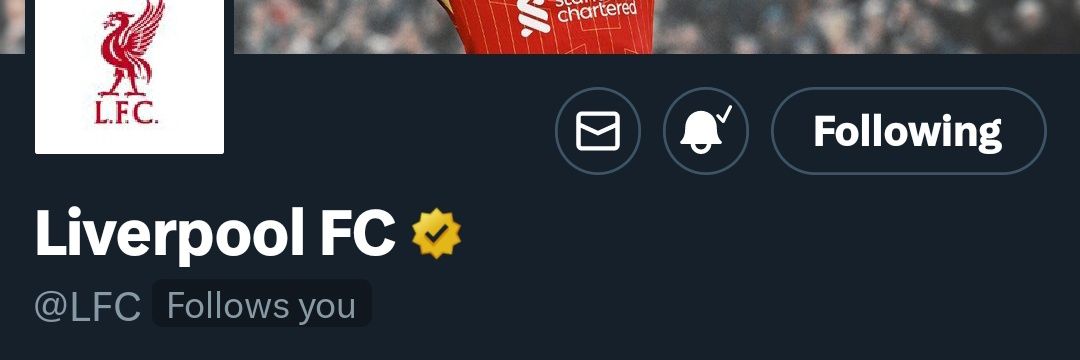 ᴍᴀʏᴀ ᴀɴᴅɪɴɪ banner