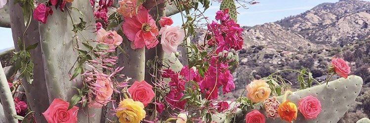 SusBS's profile banner image