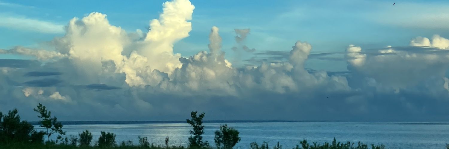 Jill Phillips banner