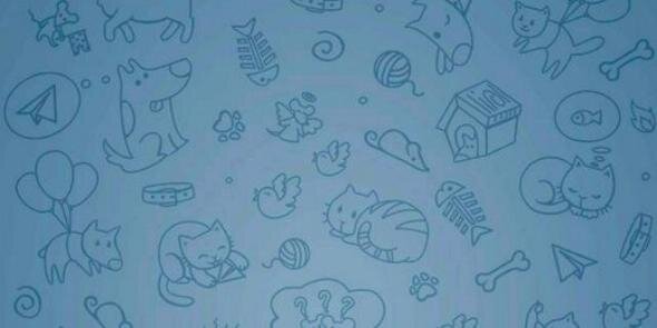 TelegramDO's profile banner image