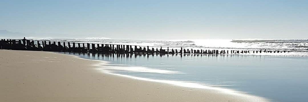 Evasion2011's profile banner image