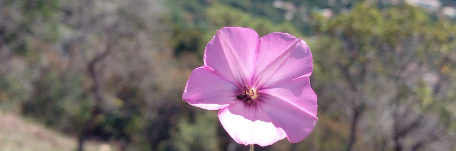 leila_krm's profile banner image