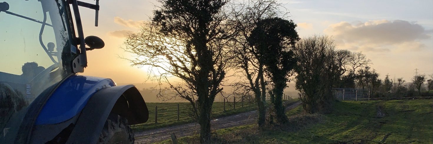 sandyhendo01's profile banner image