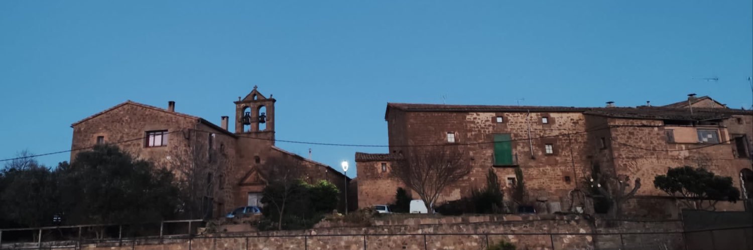 Xavier Castellana 🎗 banner