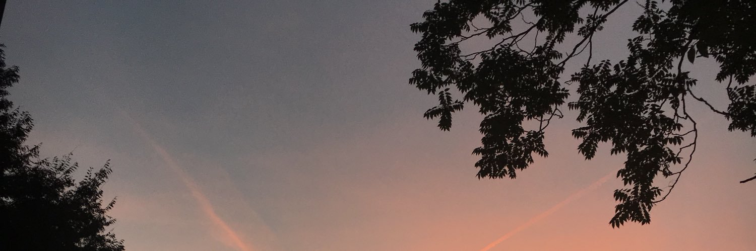 wafflesRUs1's profile banner image