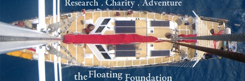 floatingFNDN's profile banner image