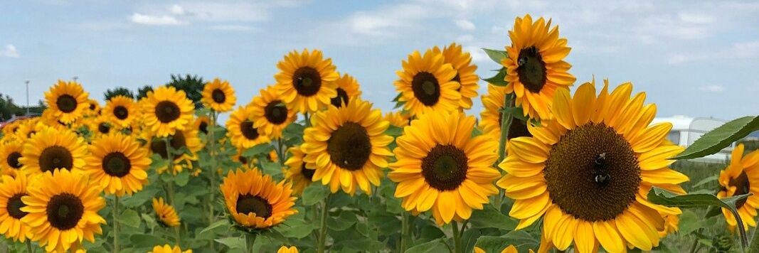 KAREN1711's profile banner image