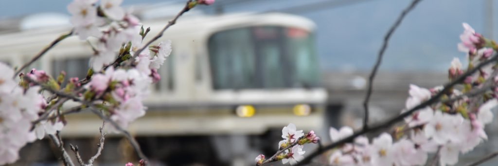 やまとじライナー banner