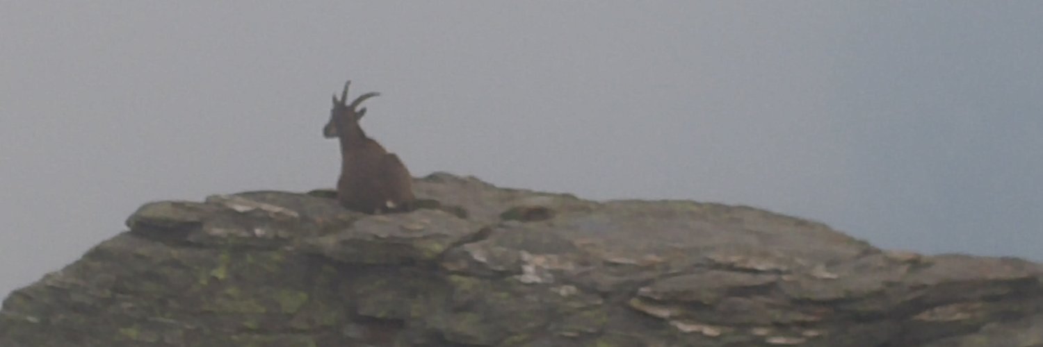 Michael Smart banner