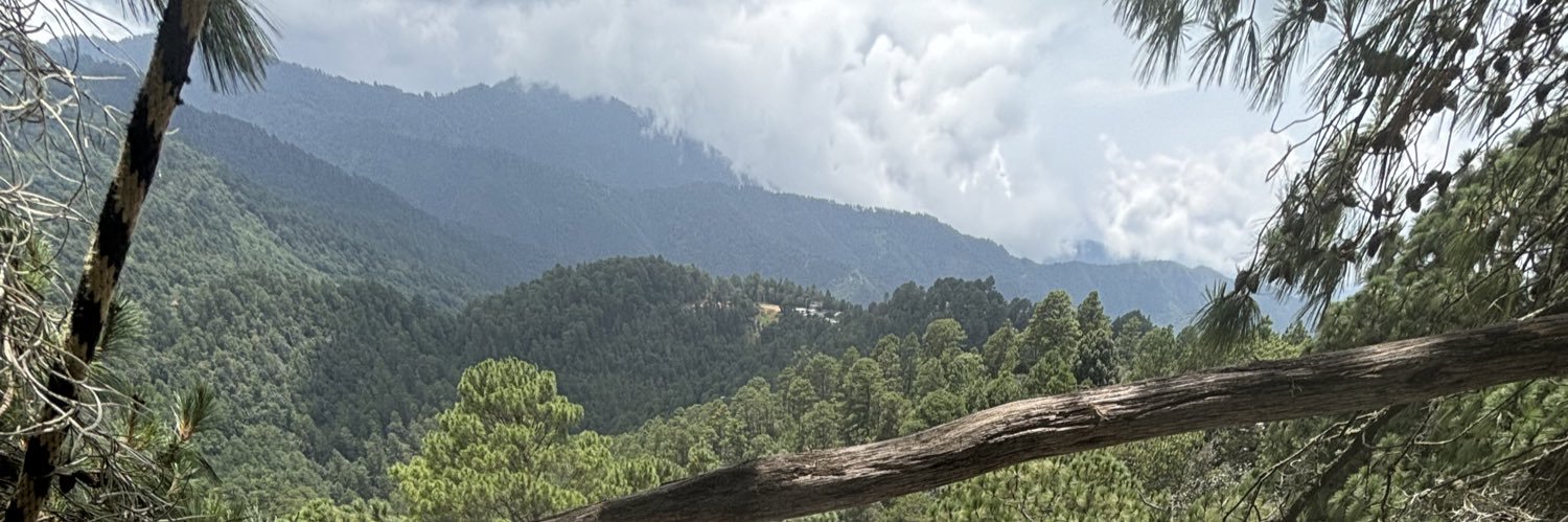 indigoyanez's profile banner image