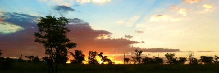 Jen Cohen @jennifercohen.bsky.social banner