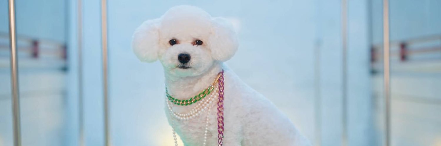 bye_sunshine's profile banner image