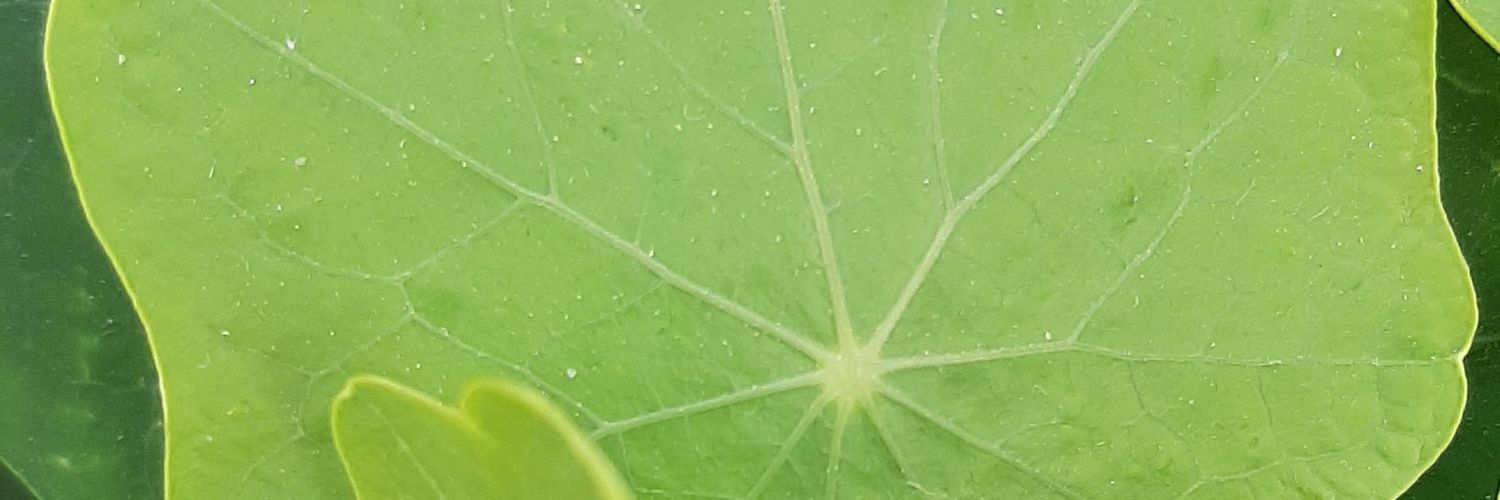 GdaraAchref's profile banner image