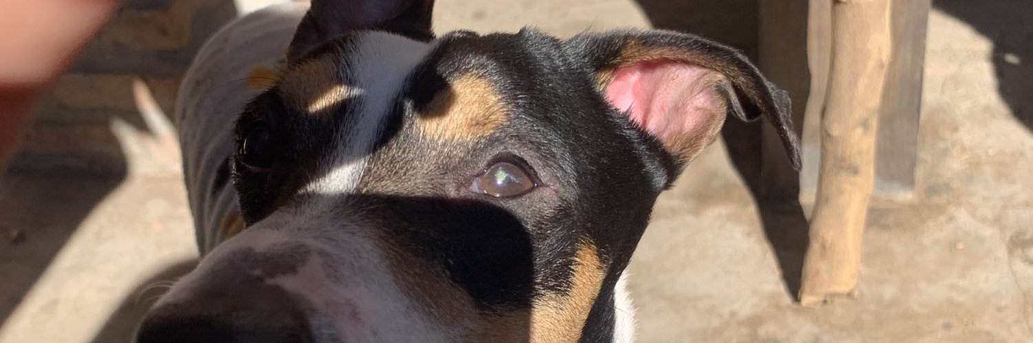 mililedezma2's profile banner image