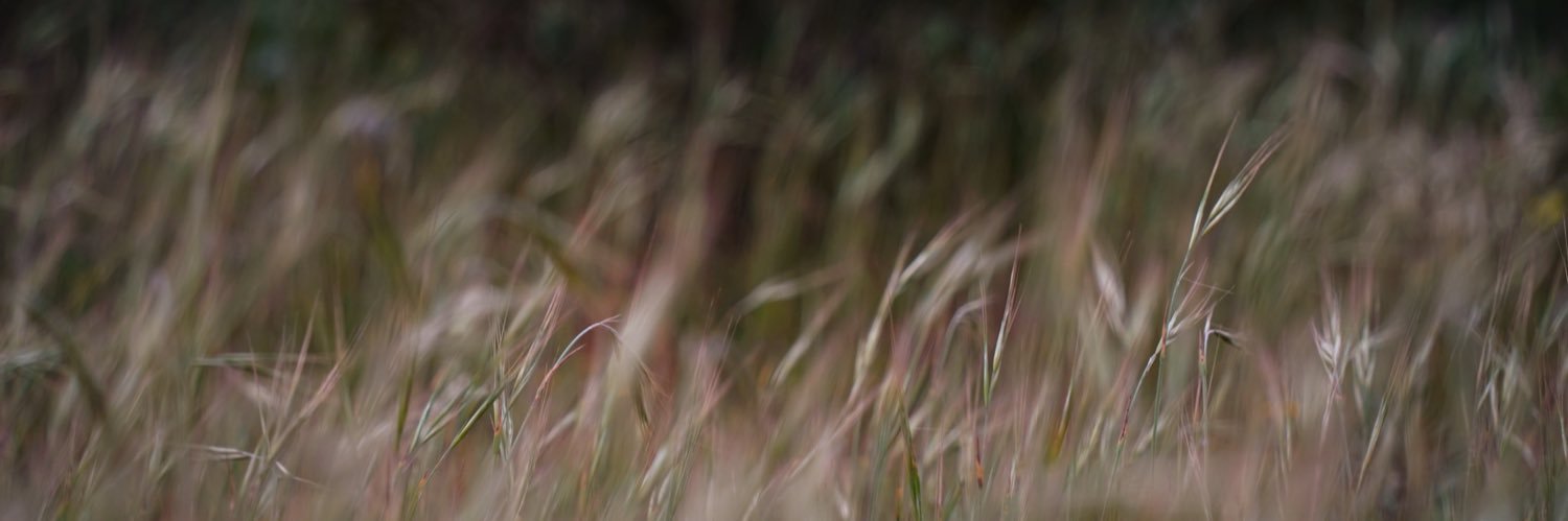 chemitacp's profile banner image