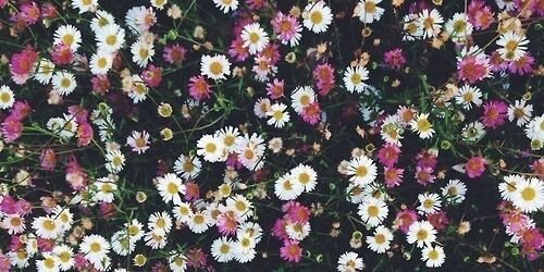 FXOOFC's profile banner image